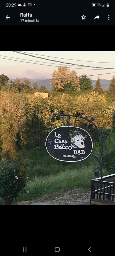 La Casa Di Bacco B&B Lerma Eksteriør bilde