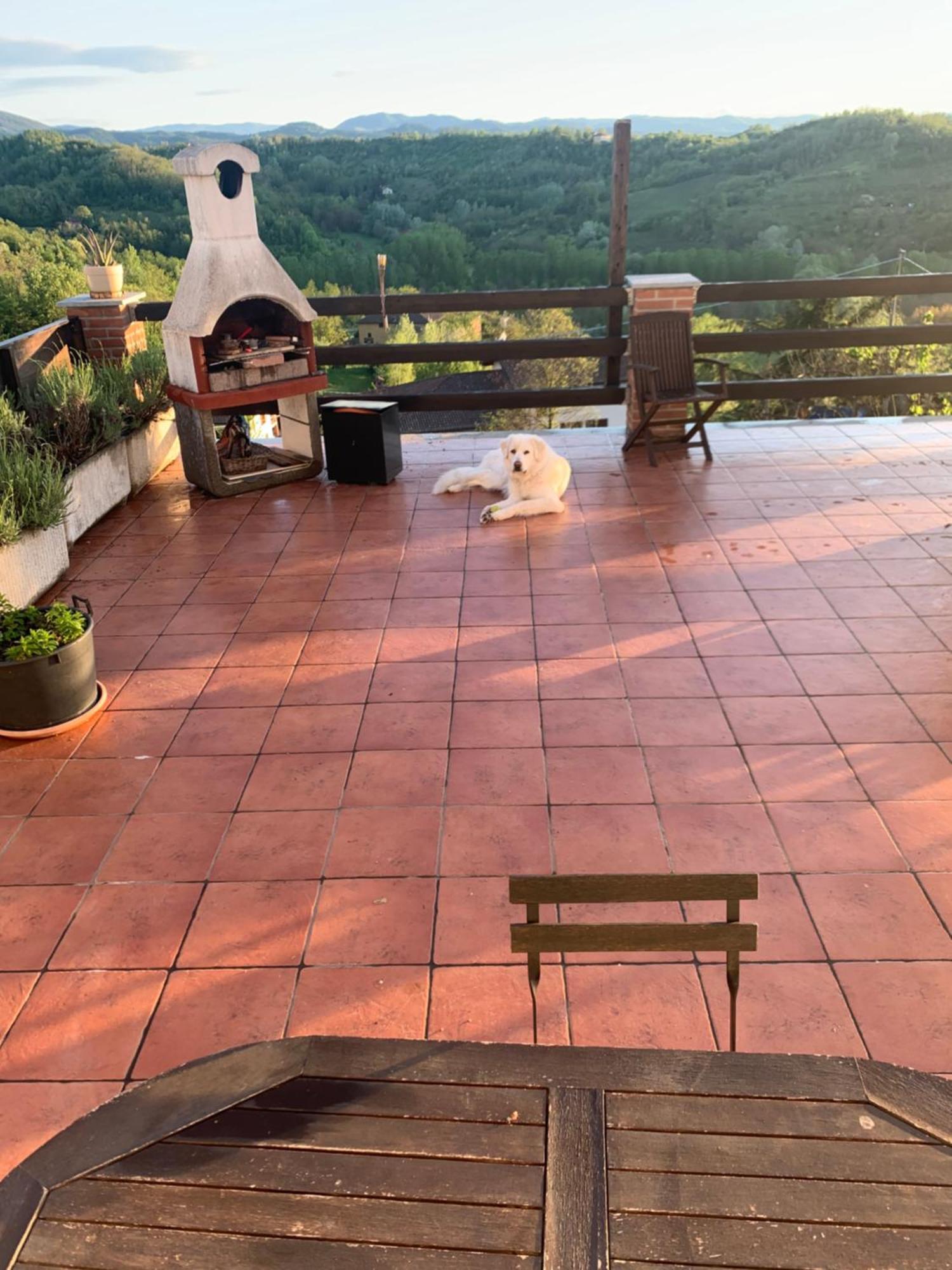 La Casa Di Bacco B&B Lerma Eksteriør bilde